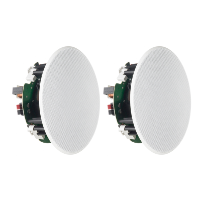 Cabasse Archipel 17 ICD pair of built-in speakers, paintable white