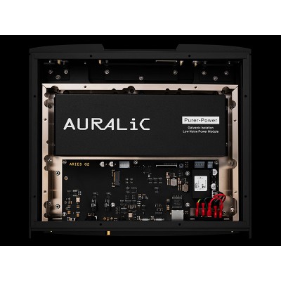 Auralic Aries G2.2 4TB SSD Streamer di rete senza DAC nero