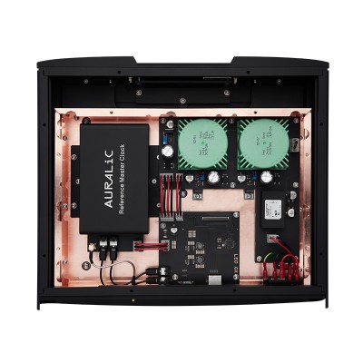 Generador de reloj ultrapreciso Auralic Leo GX.1, color negro