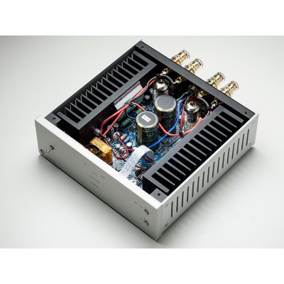 Pro-Ject Amp Box RS2 amplificatore finale di potenza stereo - silver