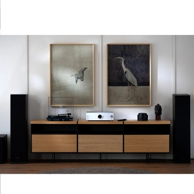 Amplificador de red Onkyo Icon A-50 - Plateado